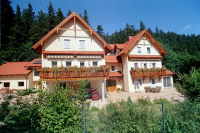 Haus Lenz Ferienwohnungen - Fam Ostermann Puchberg Am Schneeberg